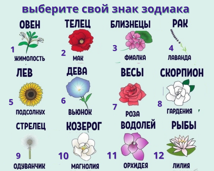 Цветы для близнецов женщины