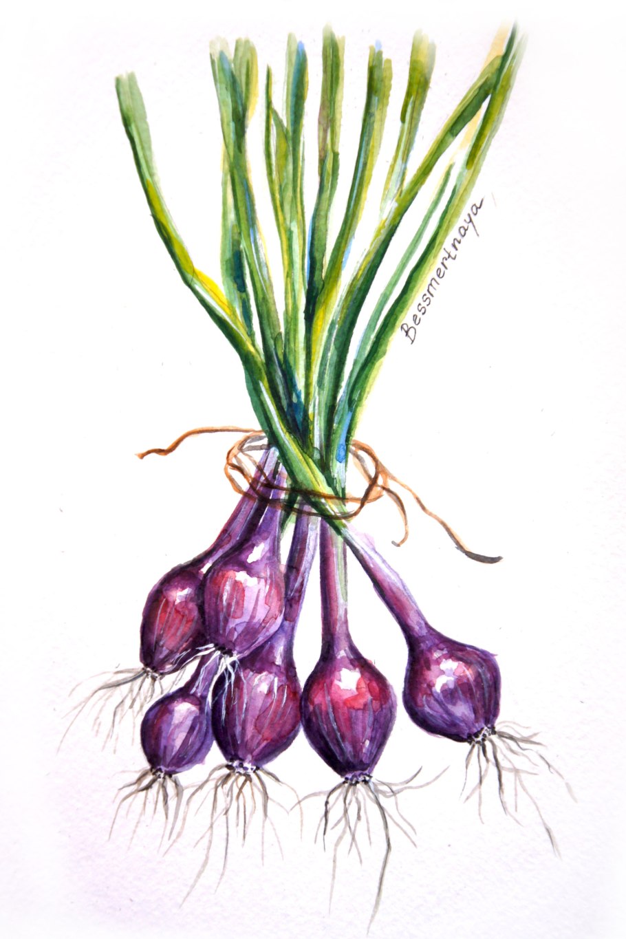 Лук шалот фиолетовый