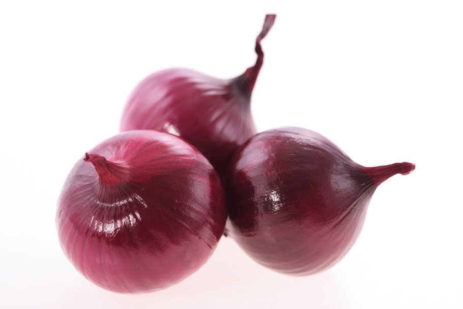 Головка репчатого лука