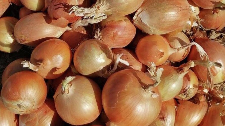 Лук на черном фоне