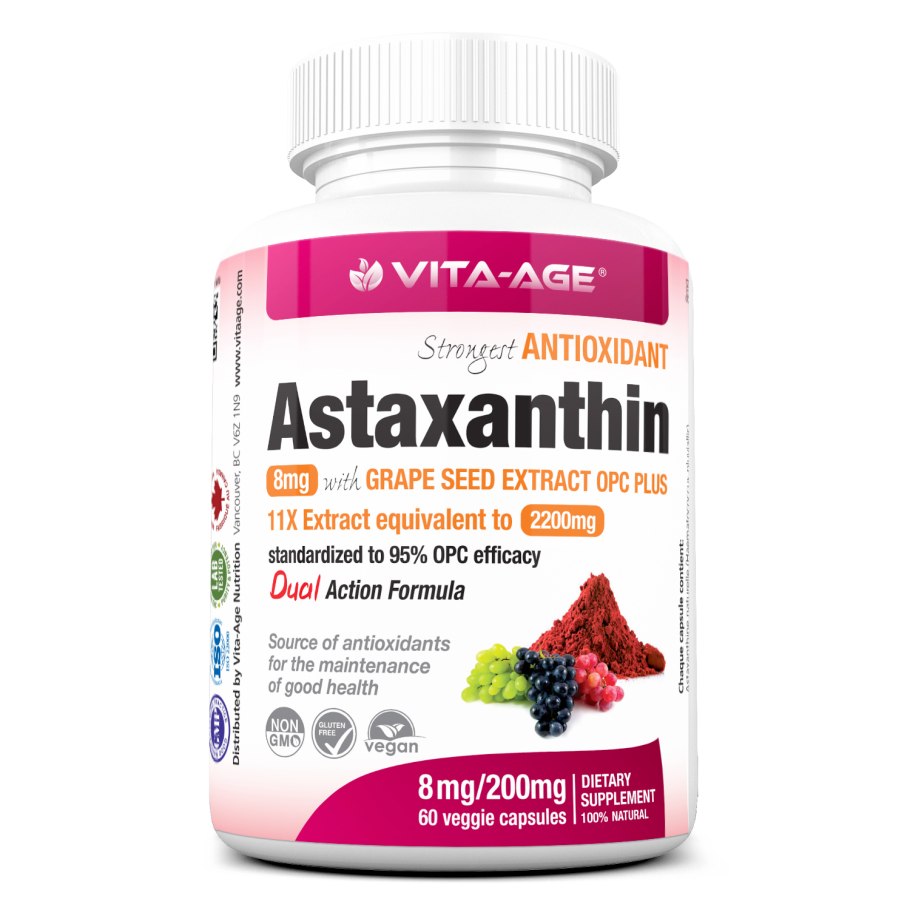 Морские игуаны едят красные водоросли