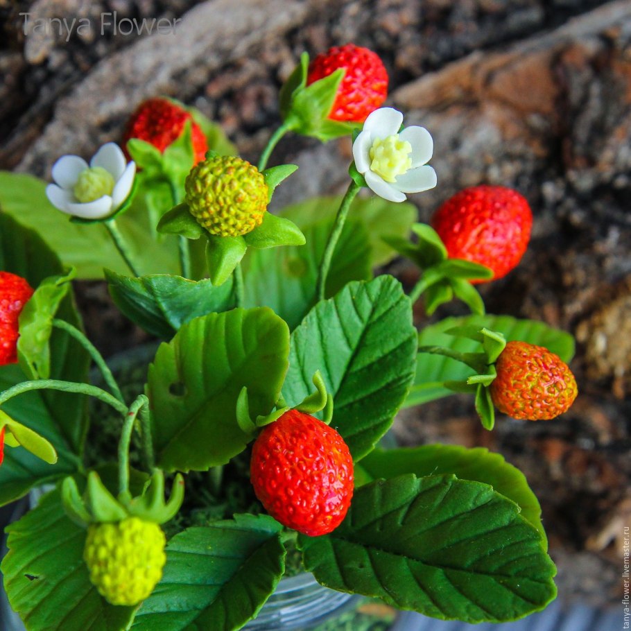 Цветки земляники без лепестков
