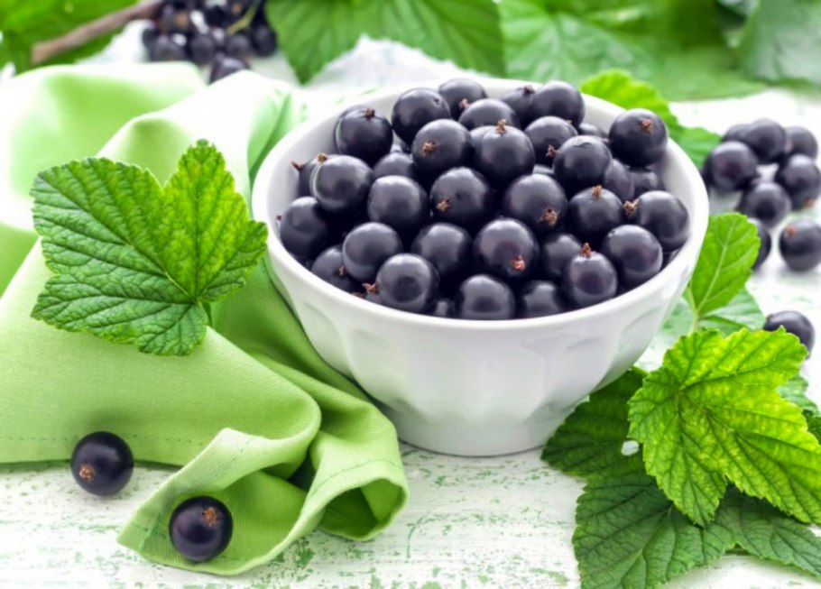 Смородина чёрная