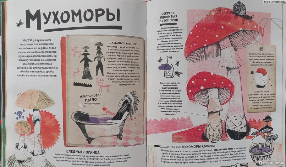 Ася ГВИС книги