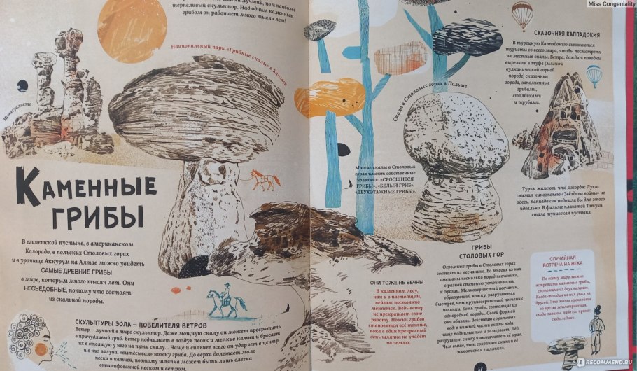 Фабисиньска грибы обложка