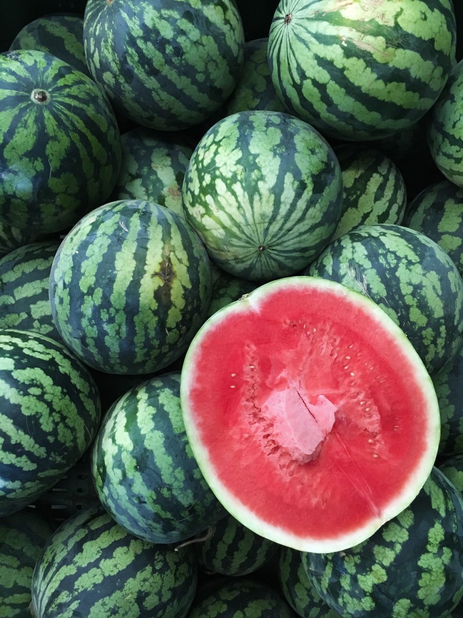 Арбуз на поле