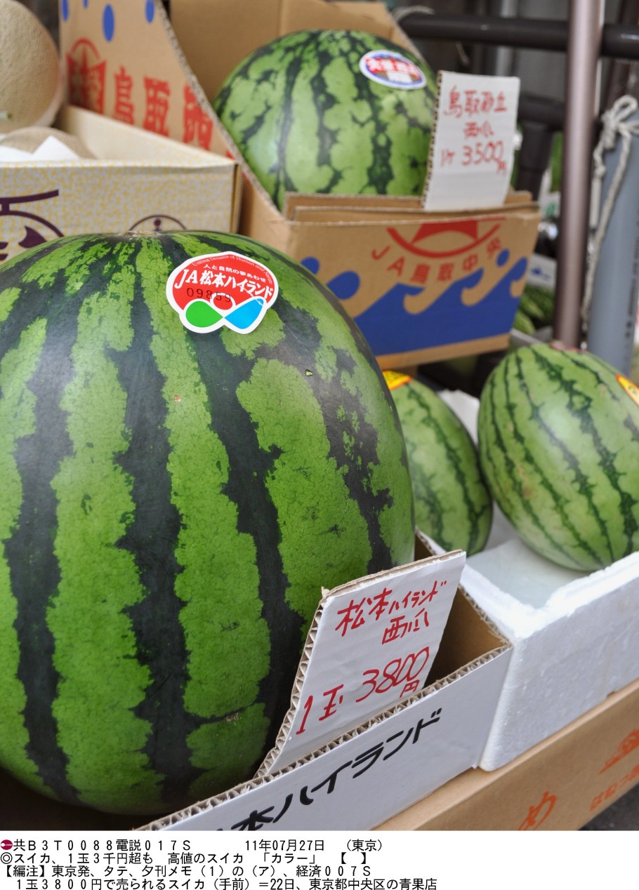 Плод арбуза