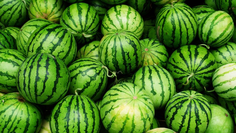 Камышинский Арбуз