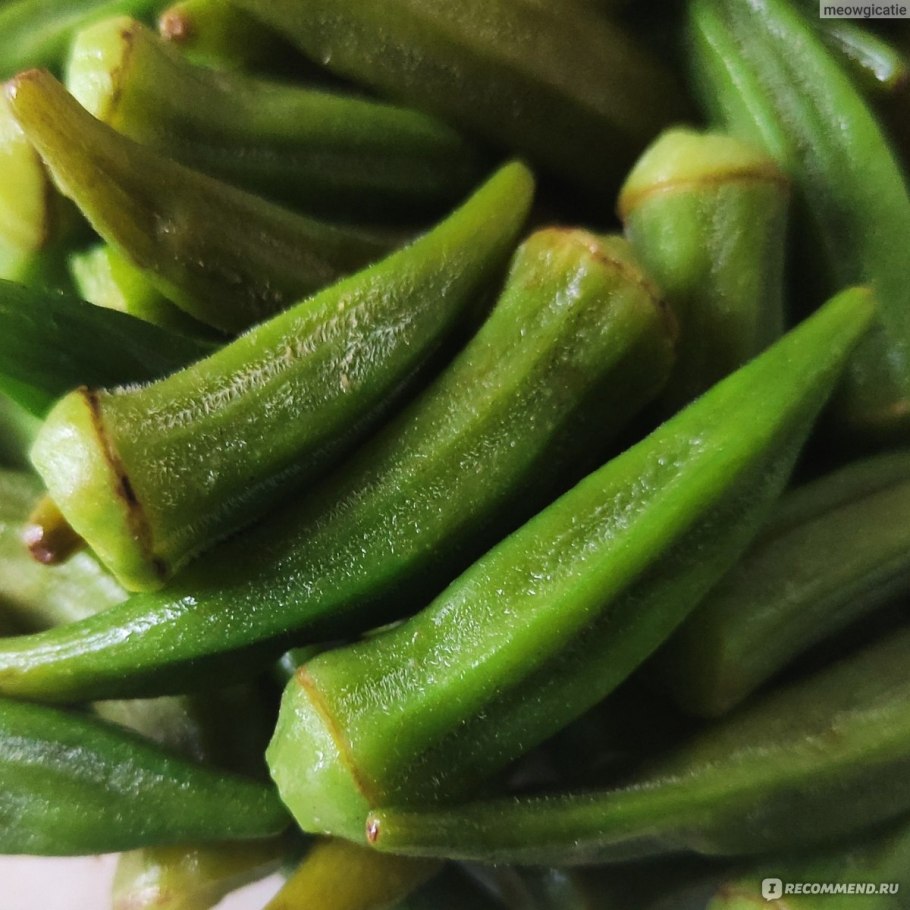 Растение Бамия фото как выращивают