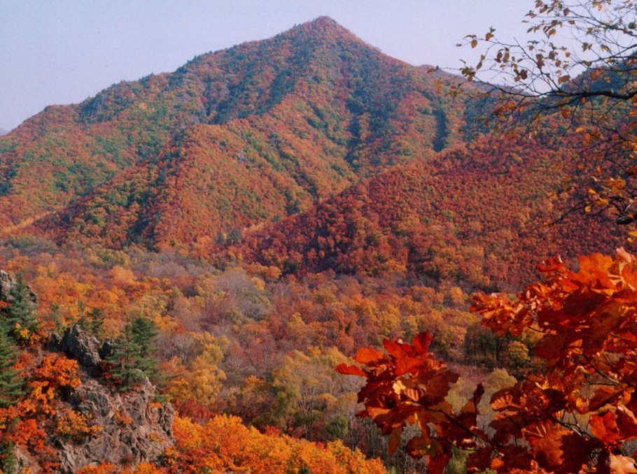 Тундра дальнего Востока Камчатка