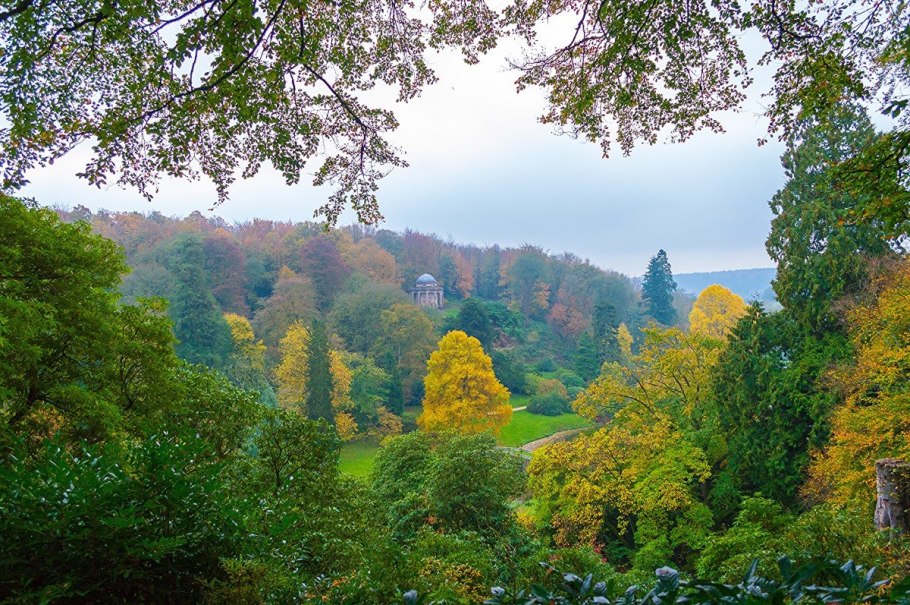 Вермонт штат США природа лес