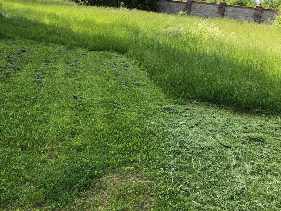 Луговой дерн