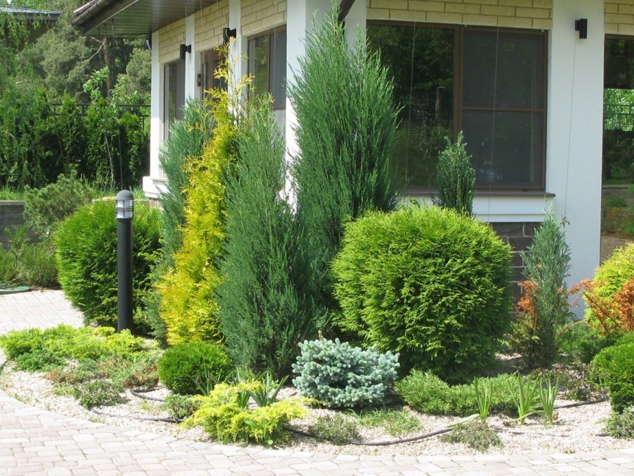 Дерен, спирея, кипарисовик