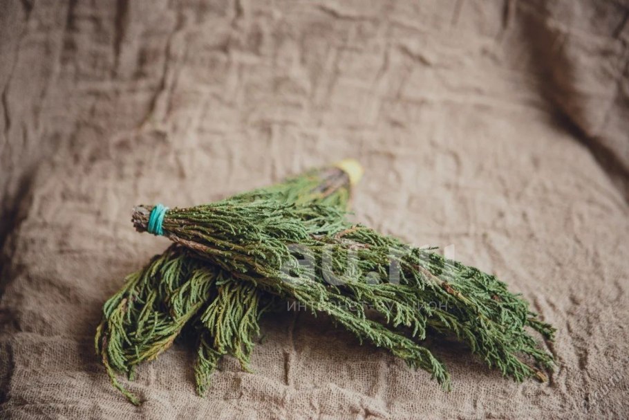 Можжевельник казацкий Буффало