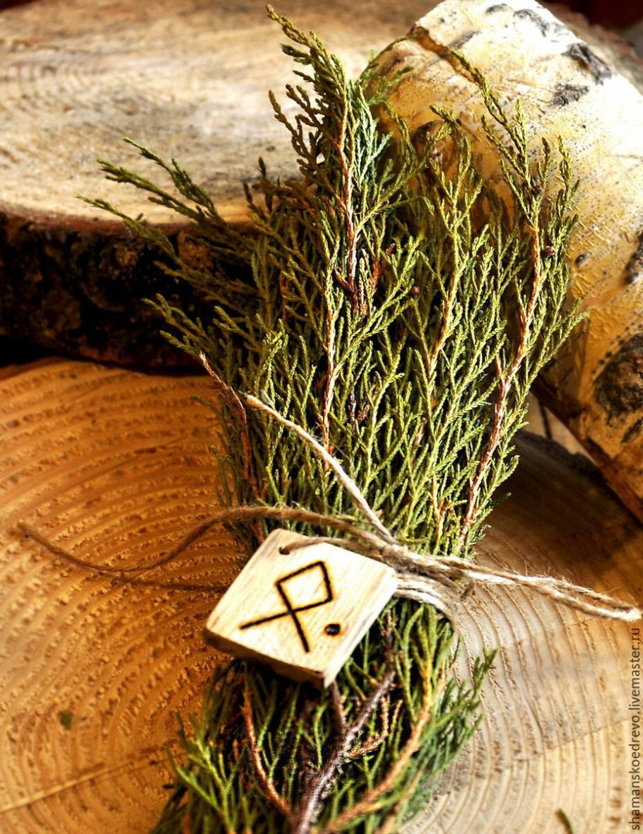 Можжевельник лежачий Nana