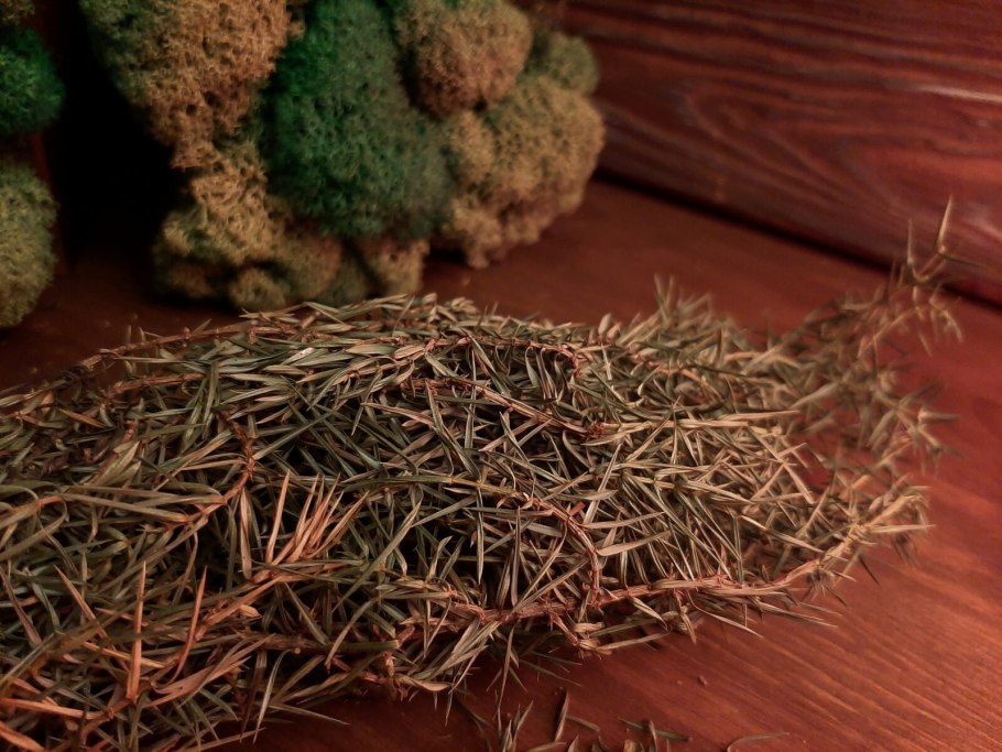 Juniperus horizontalis 'Neumann'с3