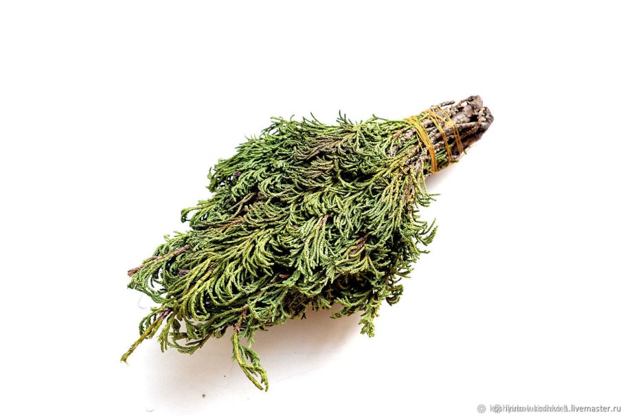 Можжевельник коммунис