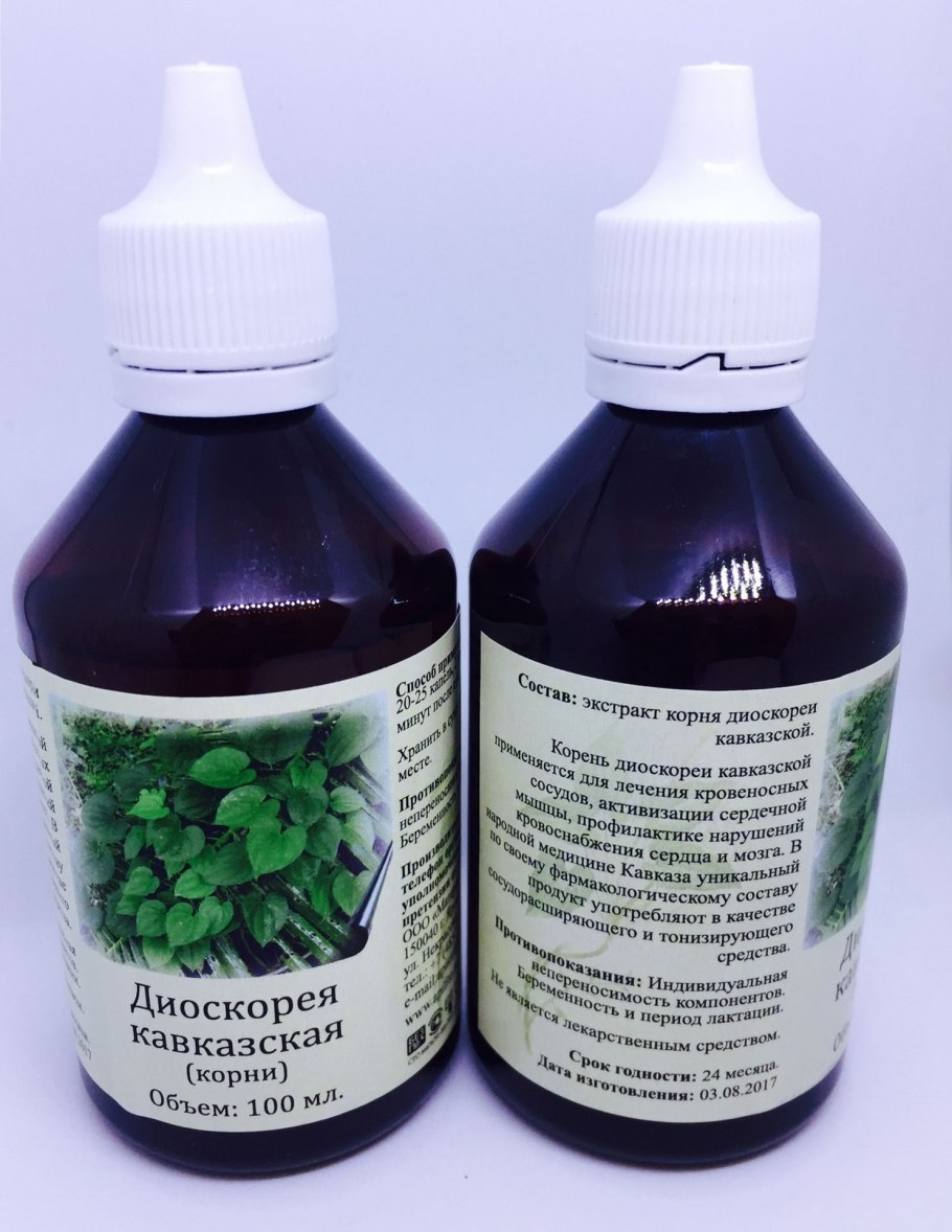 Диоскорея Софии