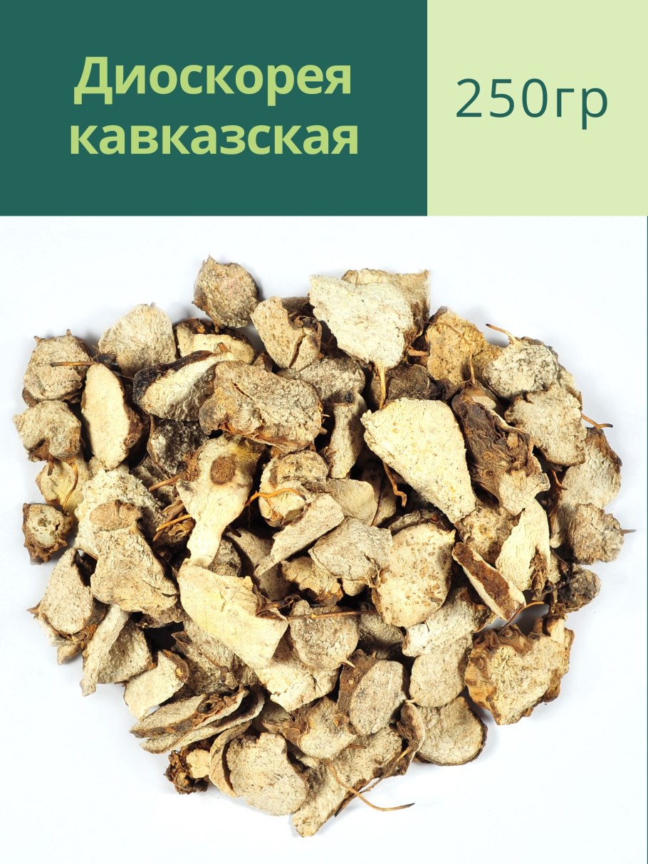 Диоскорея клубненосная