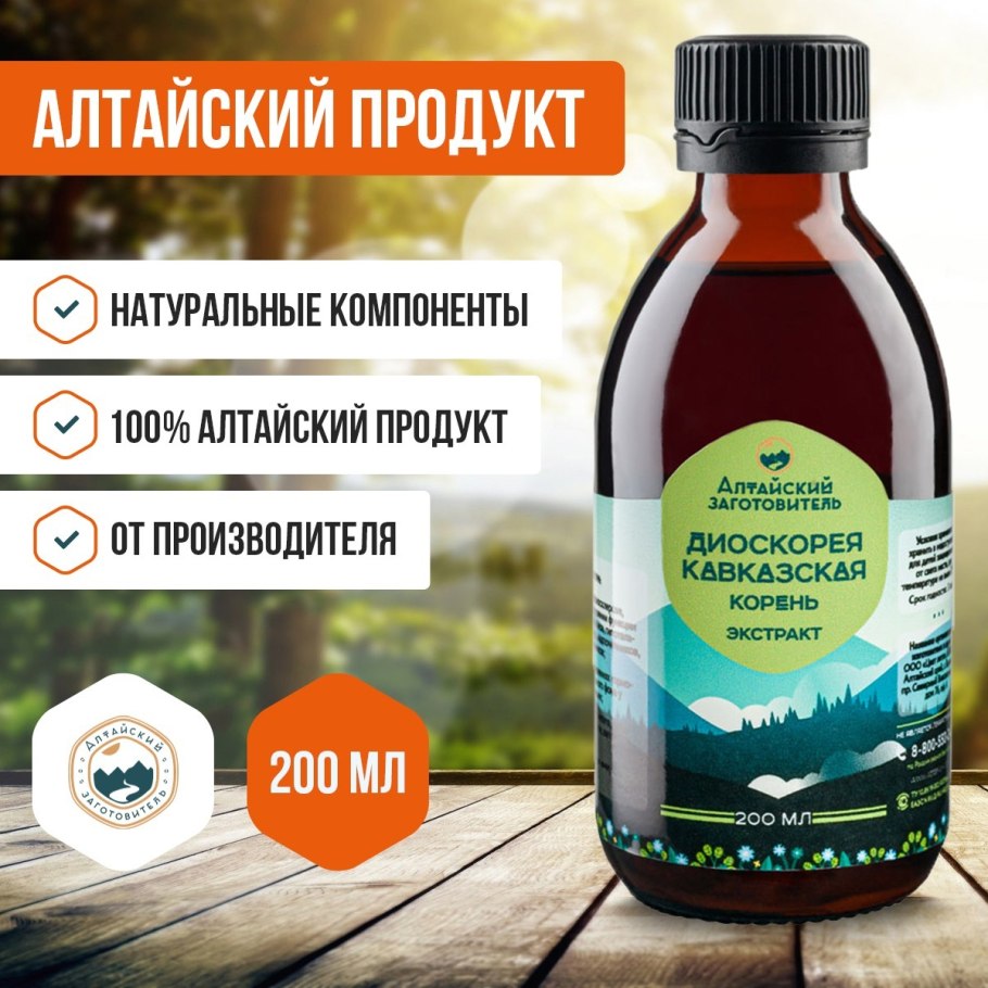 Диоскорея Кавказская гербарий