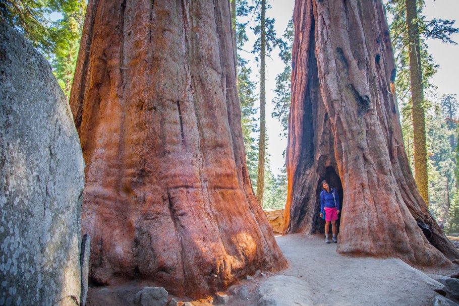 Лос Анджелес Секвойя парк