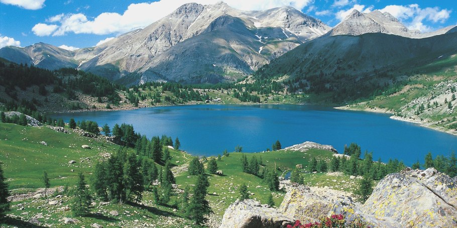 Парк Меркантур во Франции