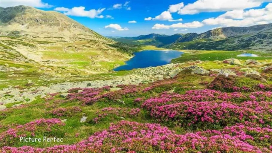 Альпийские Луга Франции