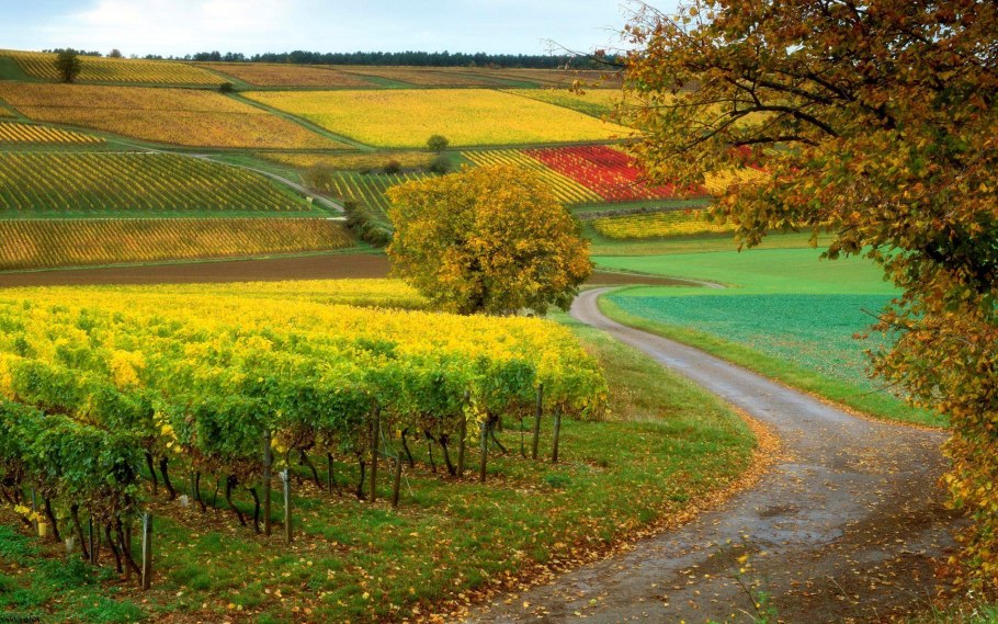 Плодородные земли Франции