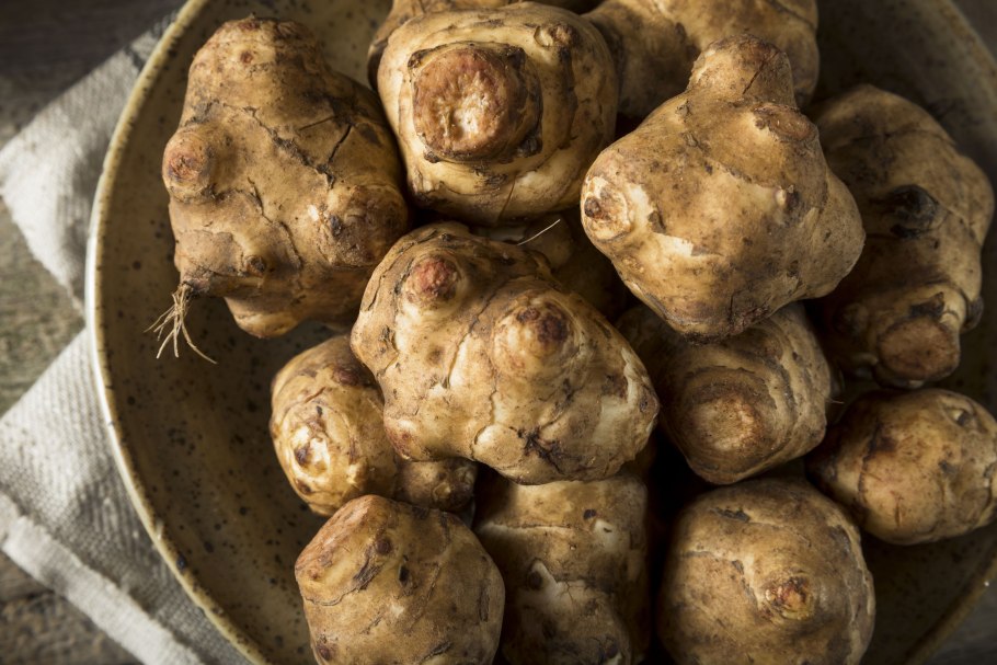 Дикая картошка топинамбур