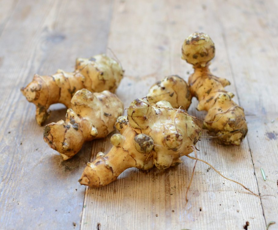 Земляной картофель топинамбур