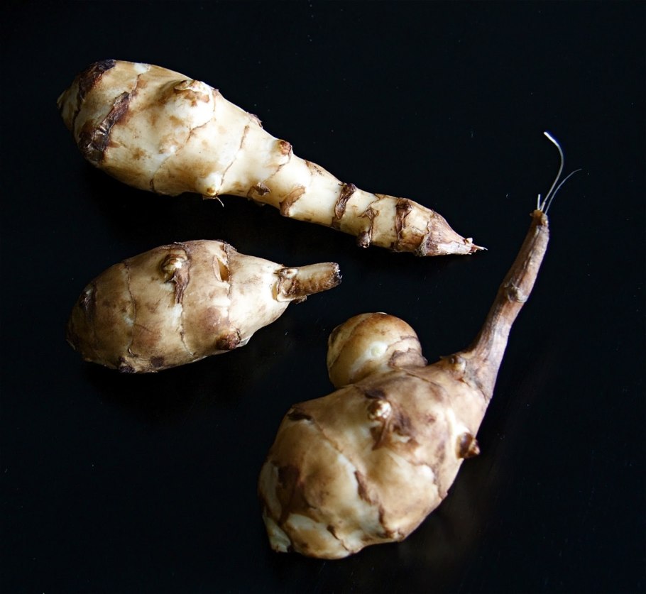 Дикая картошка топинамбур