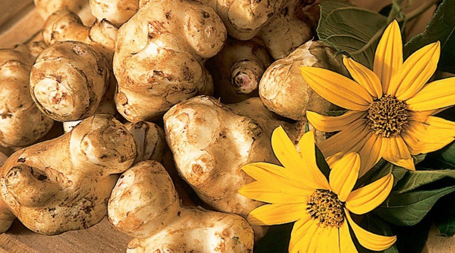 Батат и топинамбур