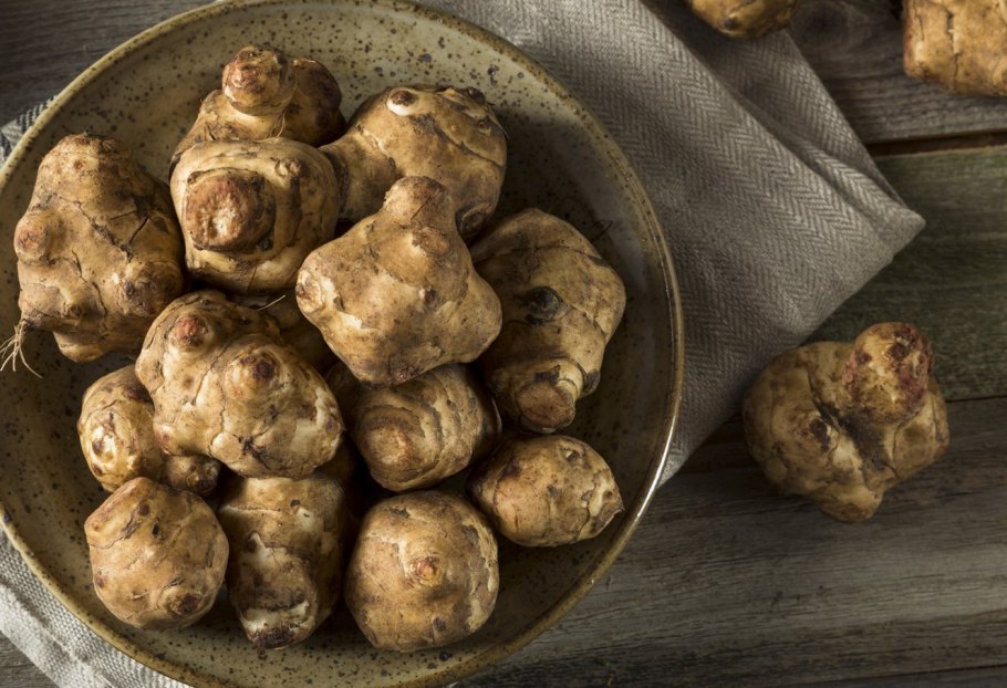 Топинамбур животное