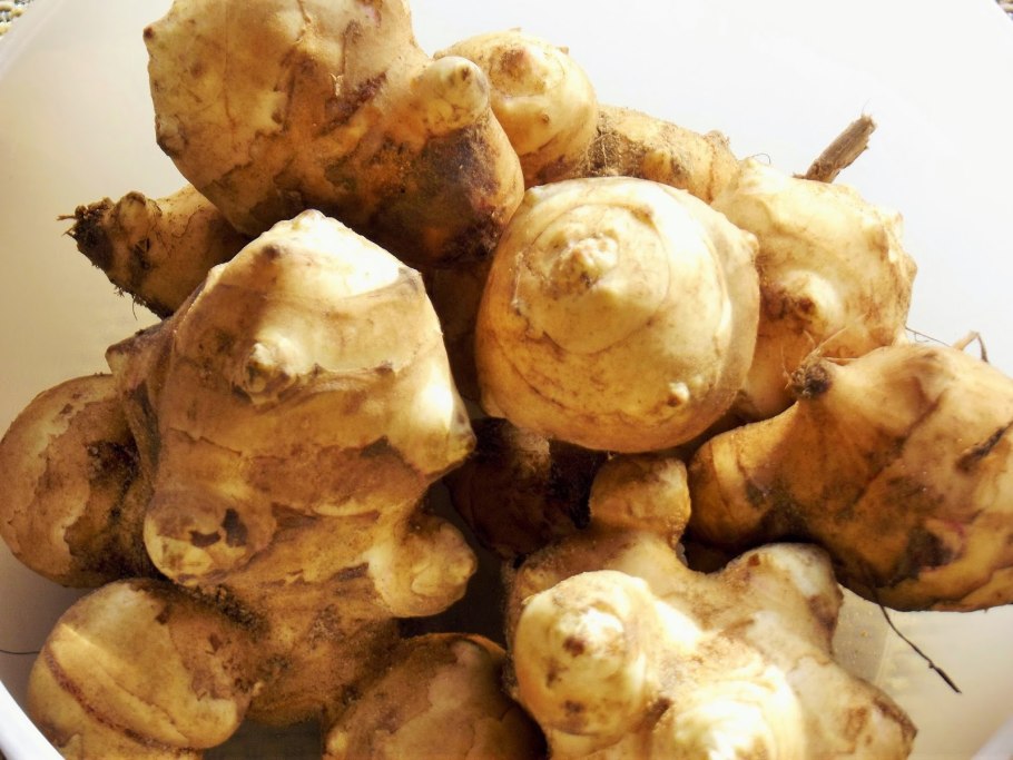 Топинамбур в Армении