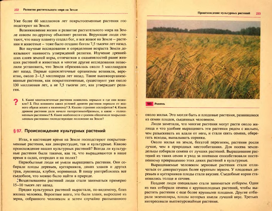 Покрытосеменные строение и размножение