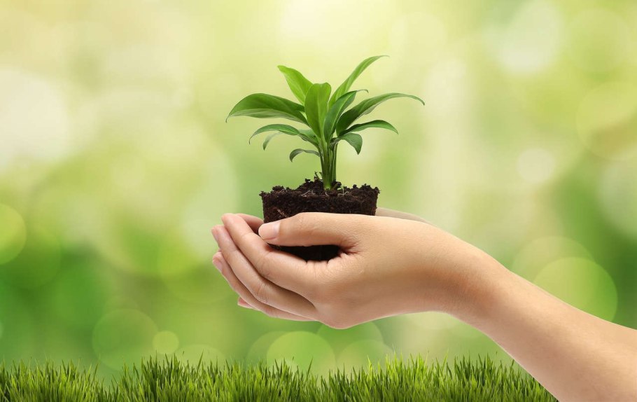 Environmental Sustainability