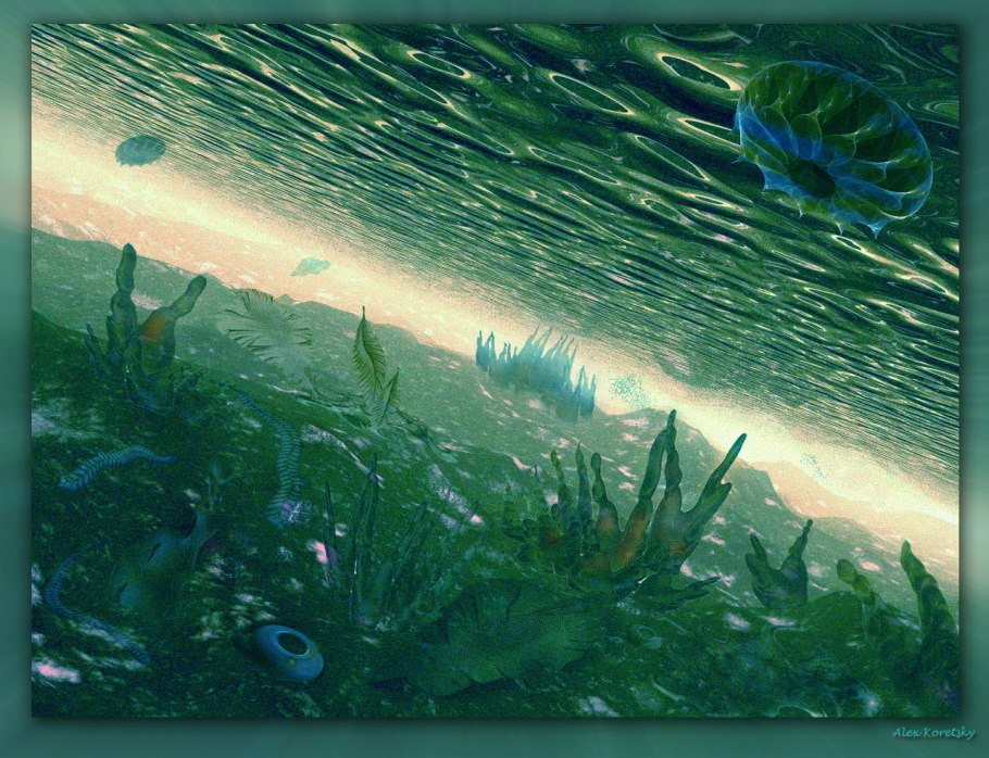 Известковые водоросли кембрийского периода