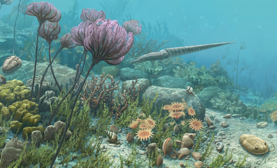 Палеозойская Эра ордовикский период