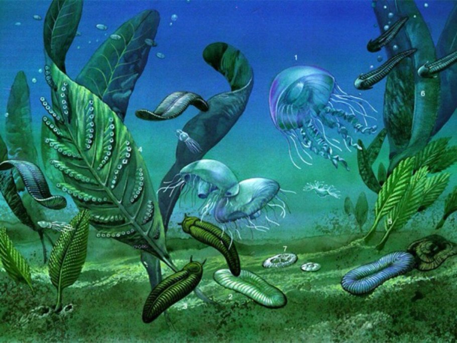 Протерозой Эра