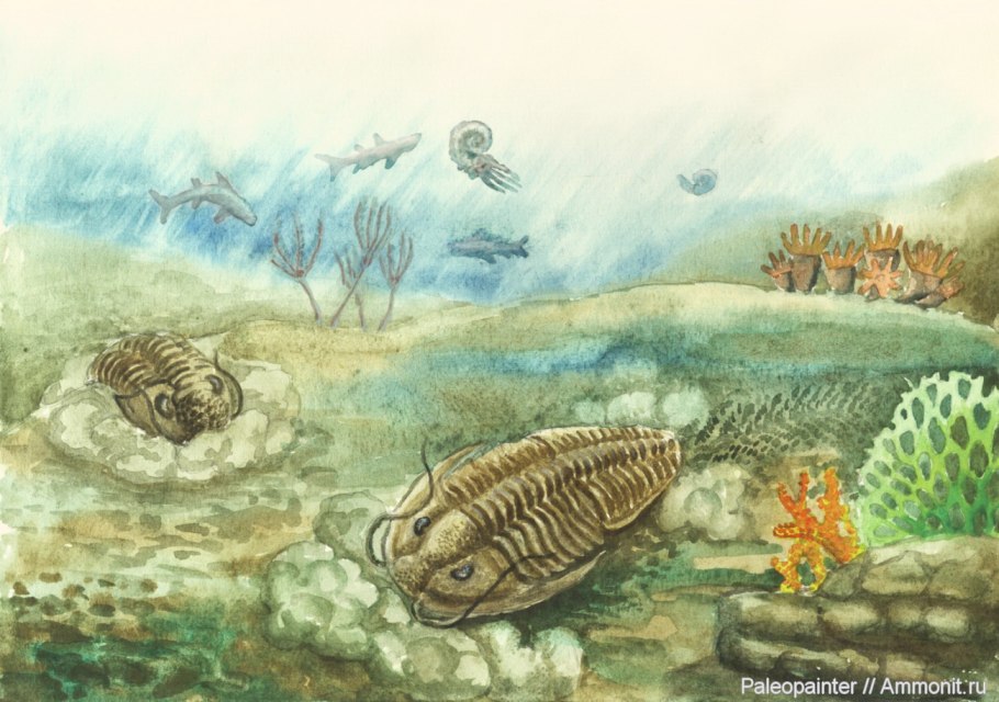 Силурийский период трилобиты