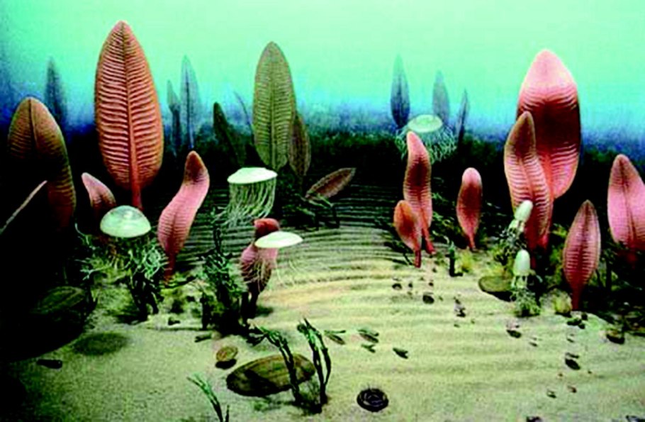 Эдиакарская биота