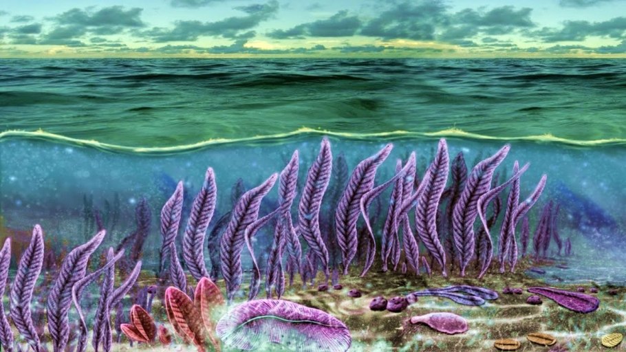 Эдиакарская Эра