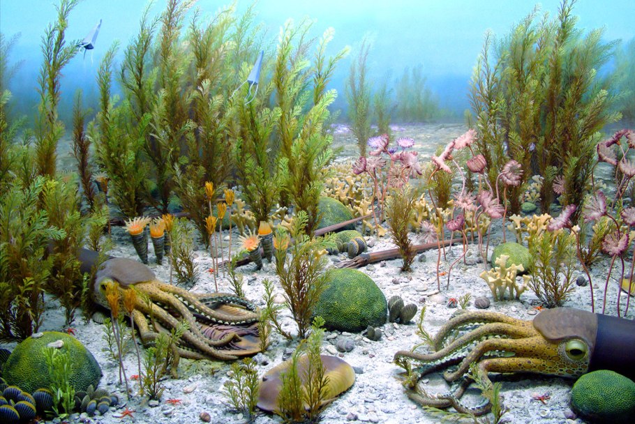 Палеозойская Эра ордовикский период