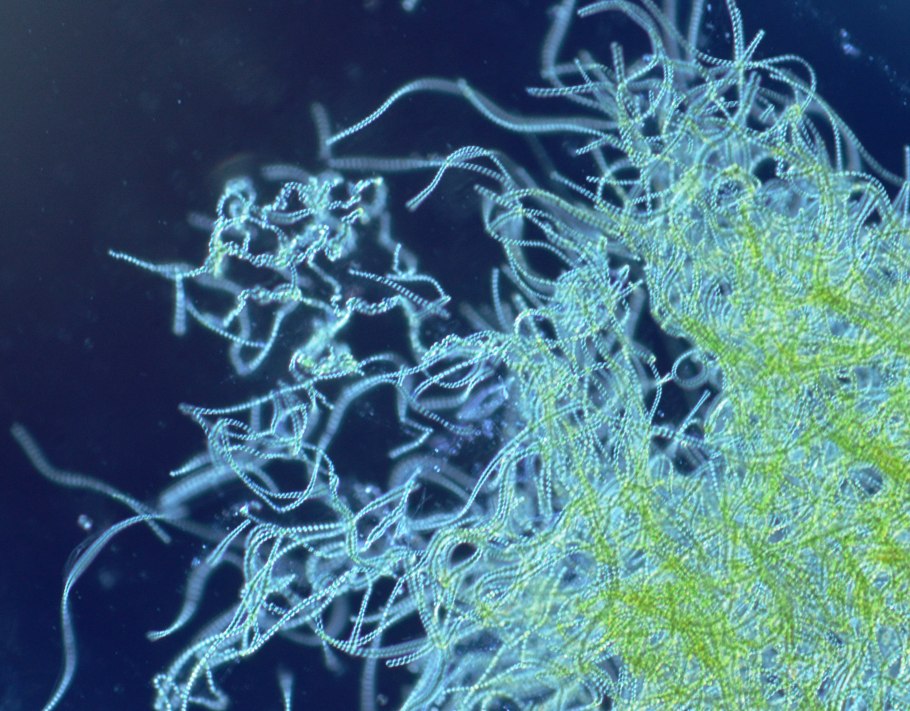 Протерозой Эра