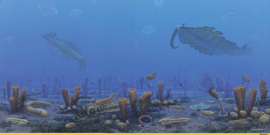 Кембрийский период палеозойской эры