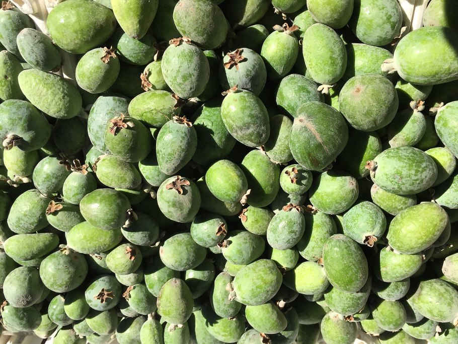 Южные ягоды