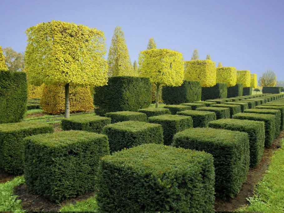 Кемерово оранжерея Цветочная