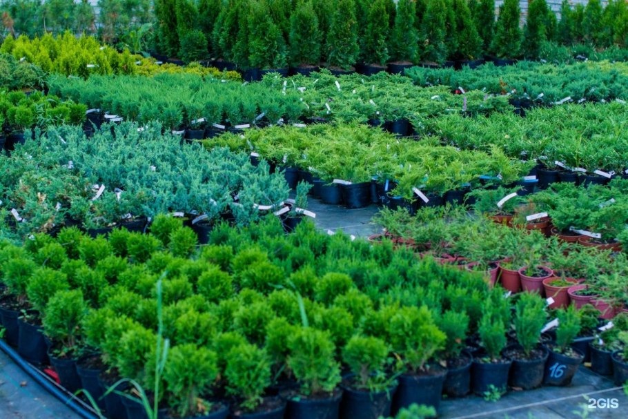 Оранжерея Зеленхоз