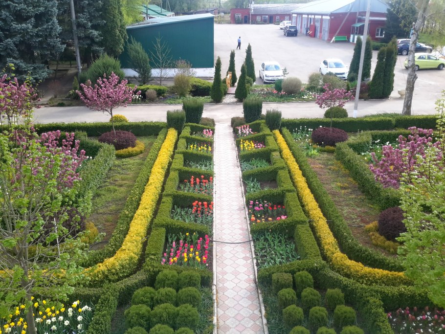 Питомник Азовский растений хвойных