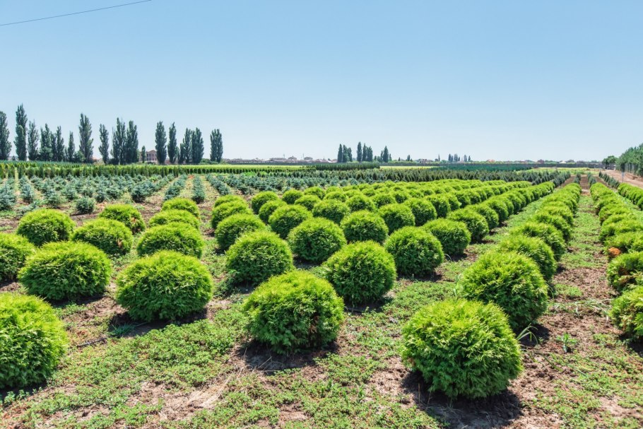 Вилландри овощные сады